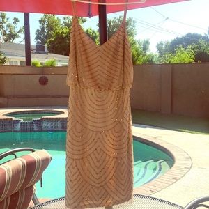 Adrianna Papell dress from Nordstrom, size 10